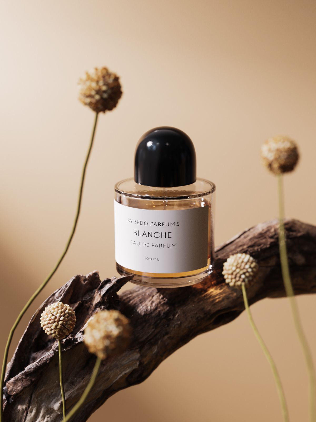 Scents & Co. hero